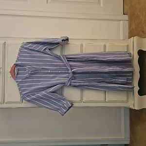 Everlane Shirt Dress